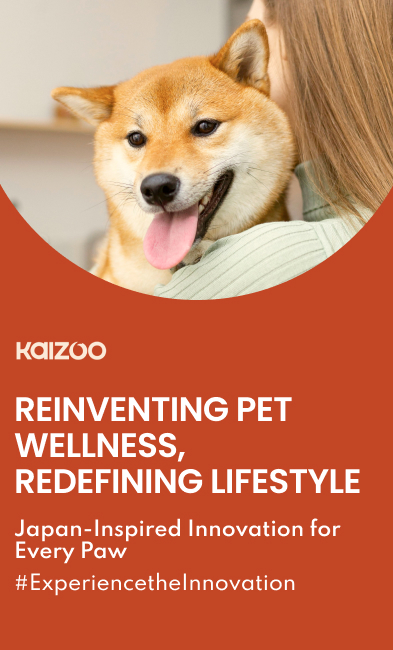 kaizoo